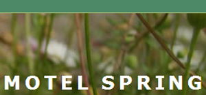 Logo Motel Spring
